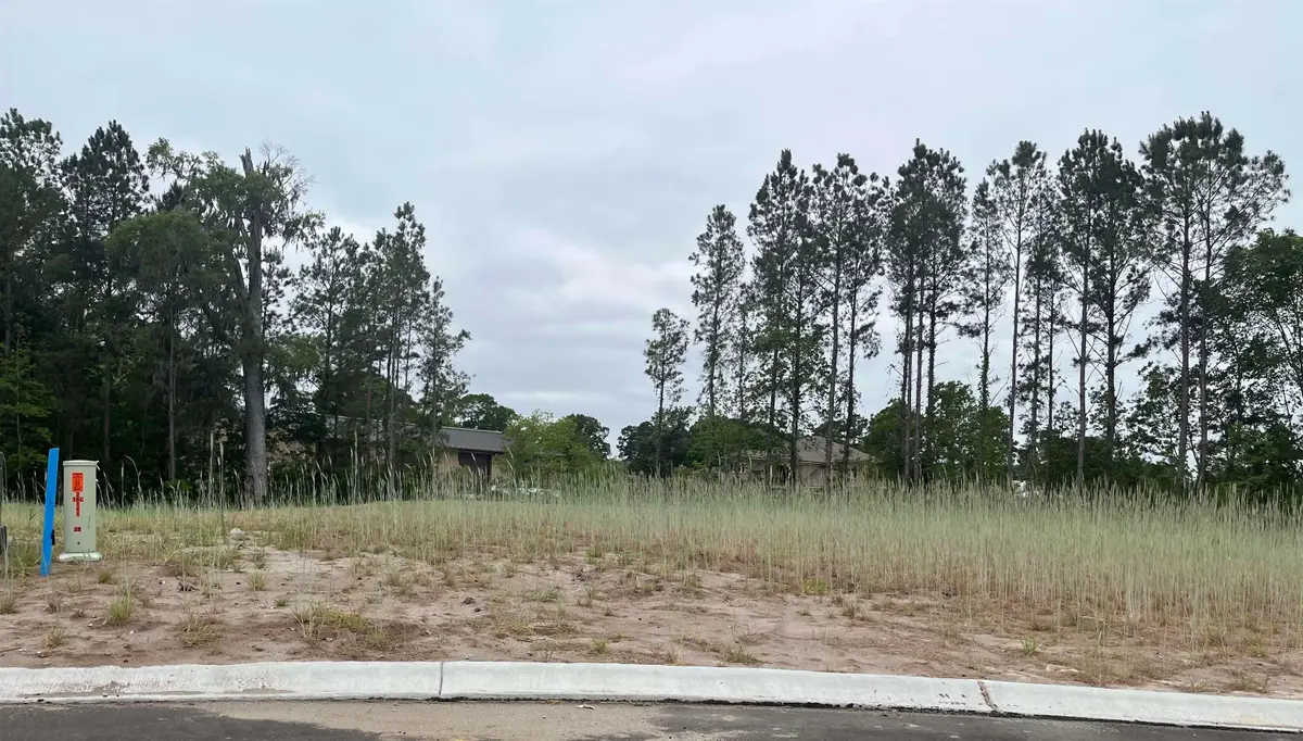 466 Pompano Court, Myrtle Beach, SC 29577 - #1