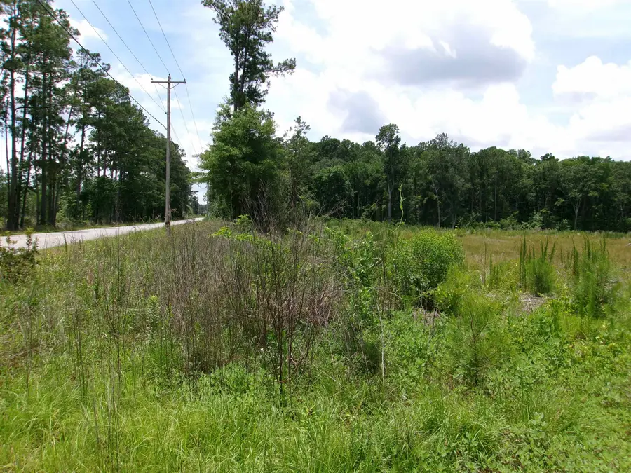 Burcale Rd., Myrtle Beach, SC 29579 - #3