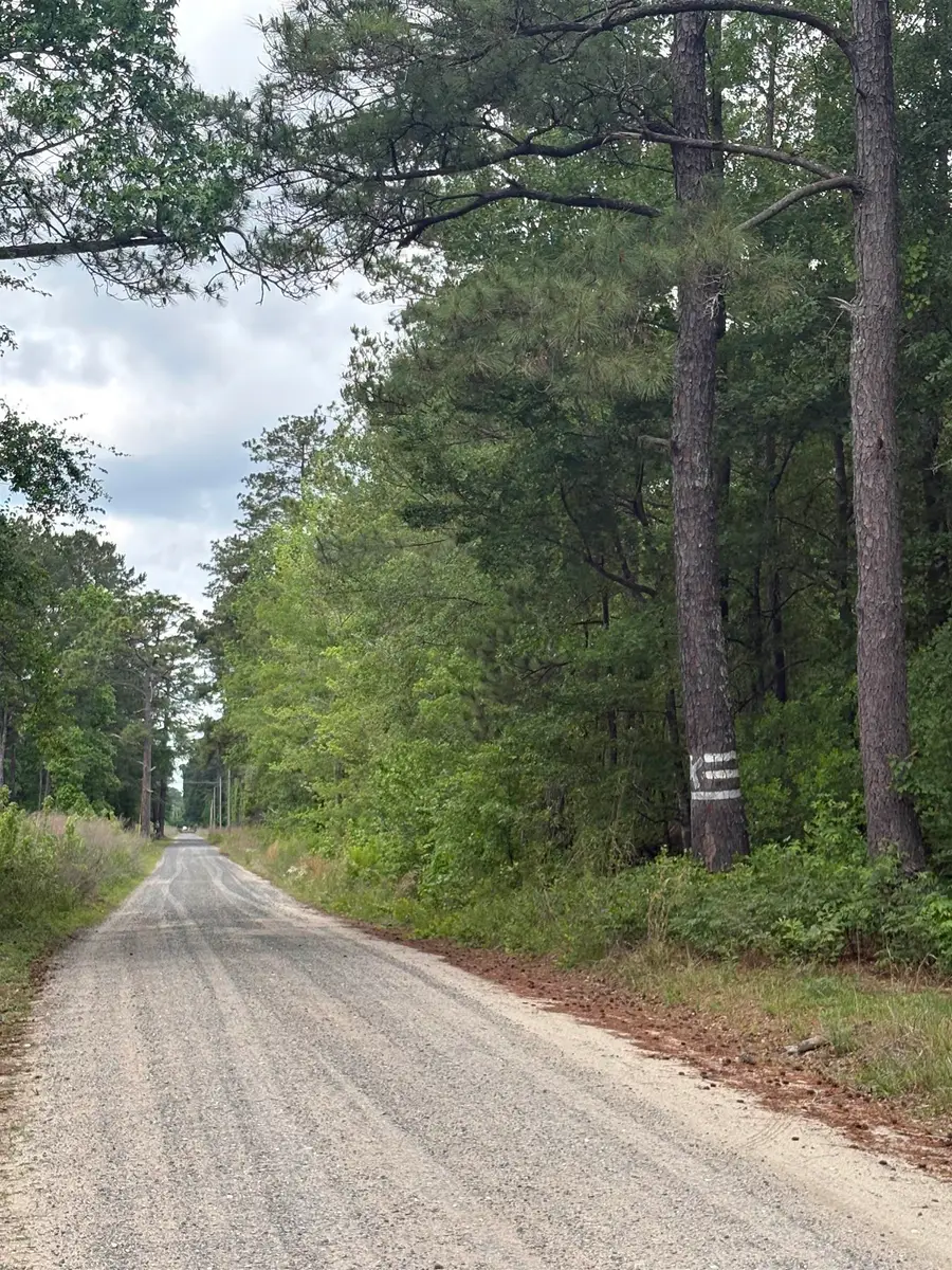 452 Tram Rd., Cades, SC 29518 - #2