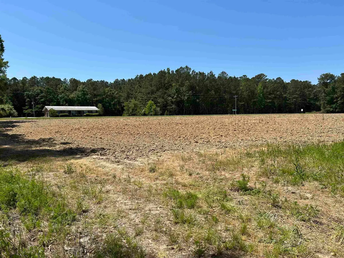 TBD Pleasant Hill Dr., Hemingway, SC 29554 - #1