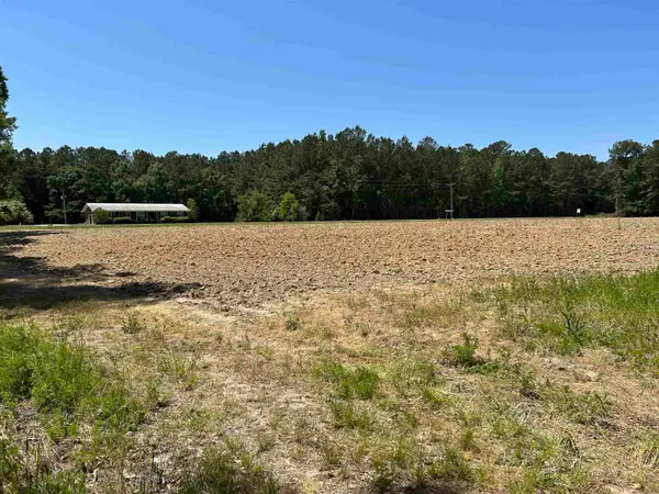 TBD Pleasant Hill Dr., Hemingway, SC 29554