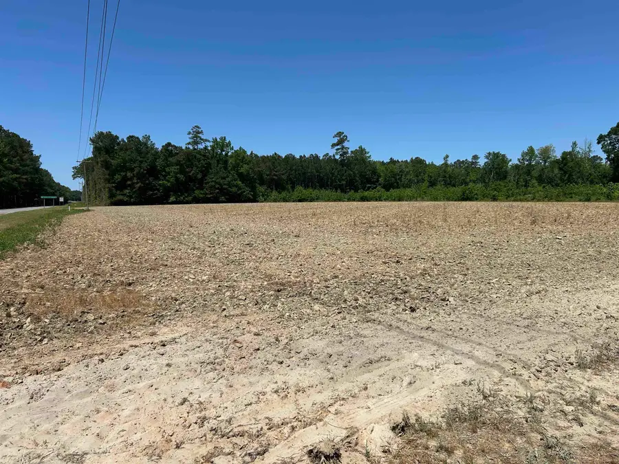 TBD Pleasant Hill Dr., Hemingway, SC 29554 - #3