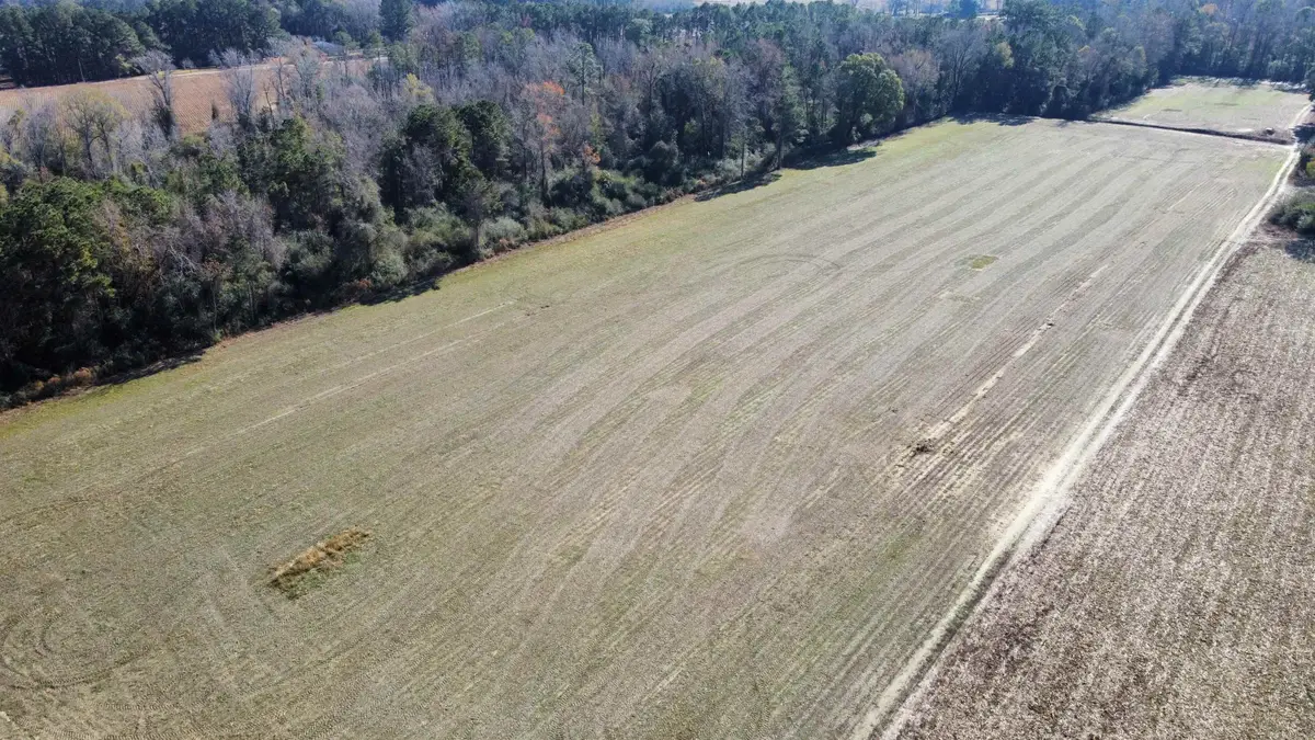 TBD Highway 917, Nichols, SC 29581 - #1