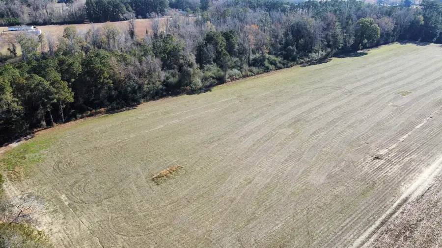 TBD Highway 917, Nichols, SC 29581 - #2