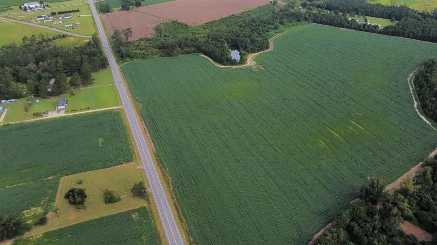 TBD Hwy 9, Green Sea, SC 29545 - #3