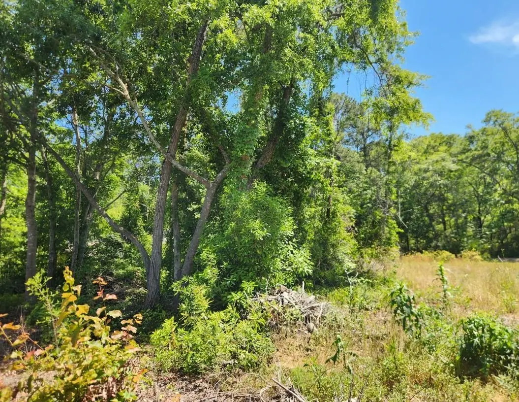 9 Ditch Digger Ln., Murrells Inlet, SC 29576 - #1