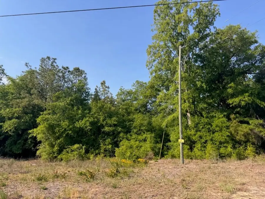 2716 W Highway 378 Hannah, Gresham, SC 29546 - #2