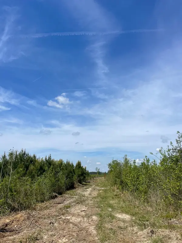 TBD 30 ac Rocky Ford Rd., Salters, SC 29590