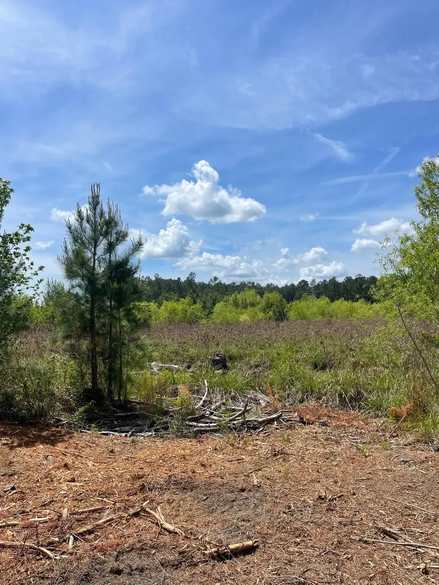 TBD 30 ac Rocky Ford Rd., Salters, SC 29590 - #2