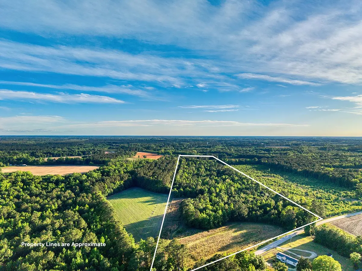 TBD Chair Rd., Hemingway, SC 29554 - #1