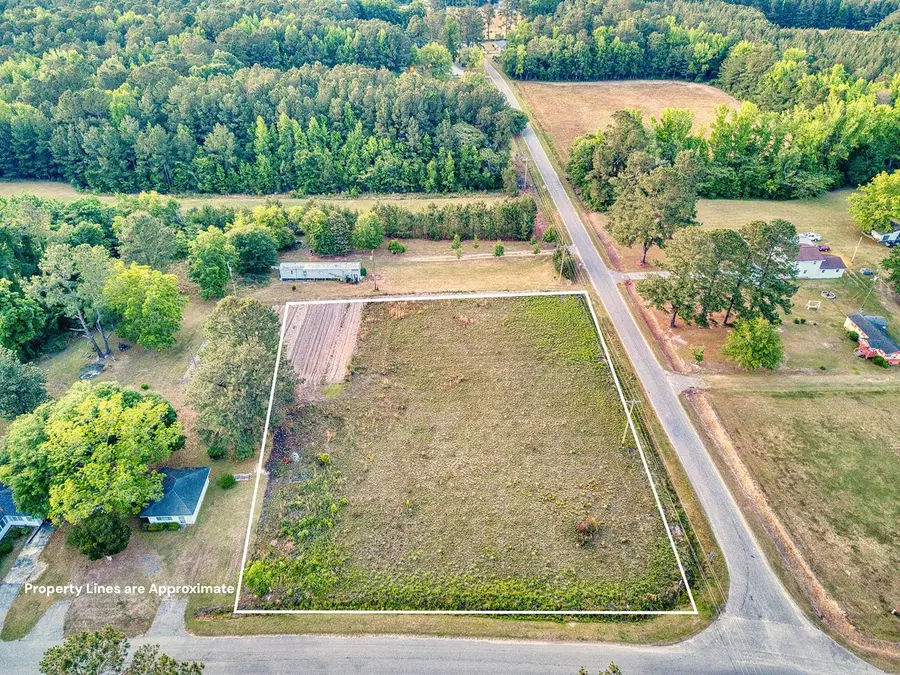 TBD Whack Rd., Greeleyville, SC 29056 - #3
