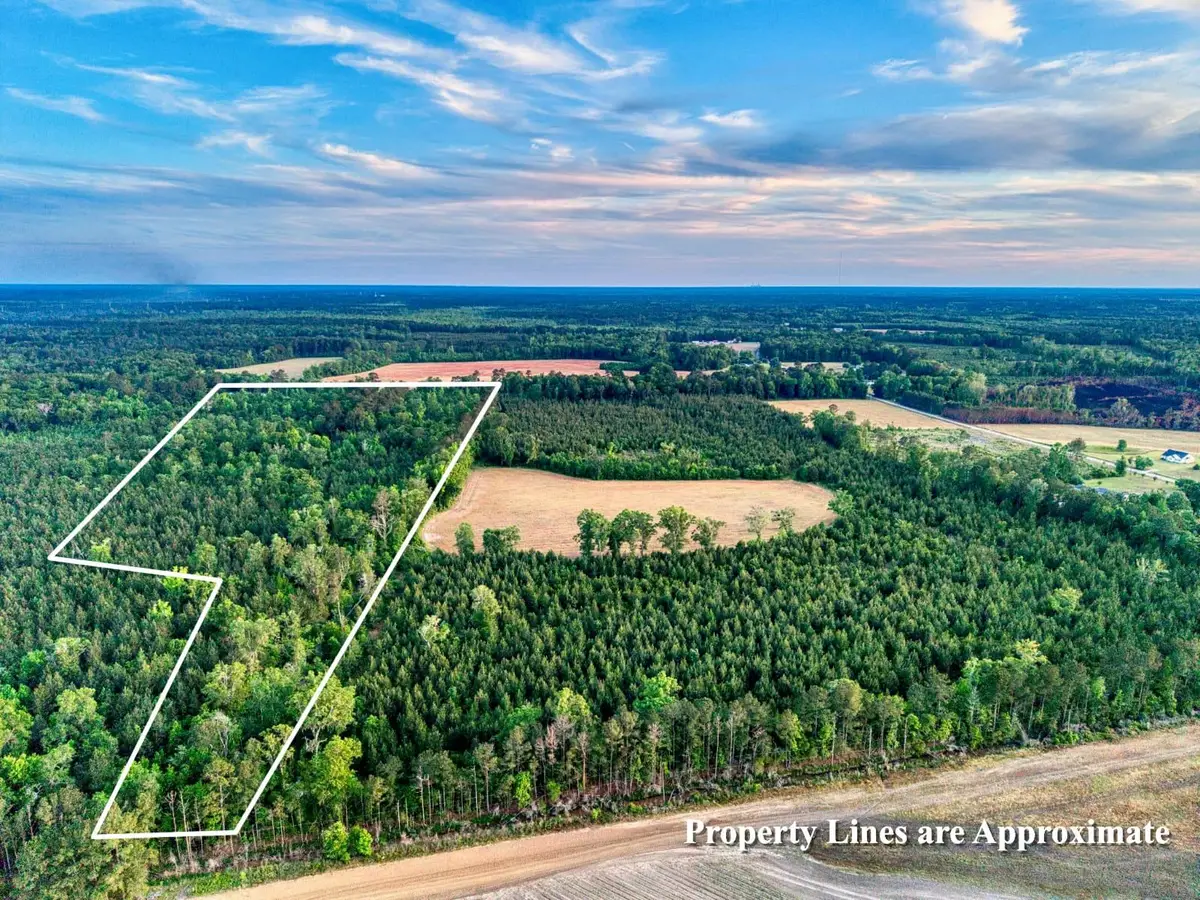 240 Guess Rd., Greeleyville, SC 29056 - #1