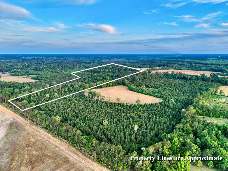 240 Guess Rd., Greeleyville, SC 29056 - #2