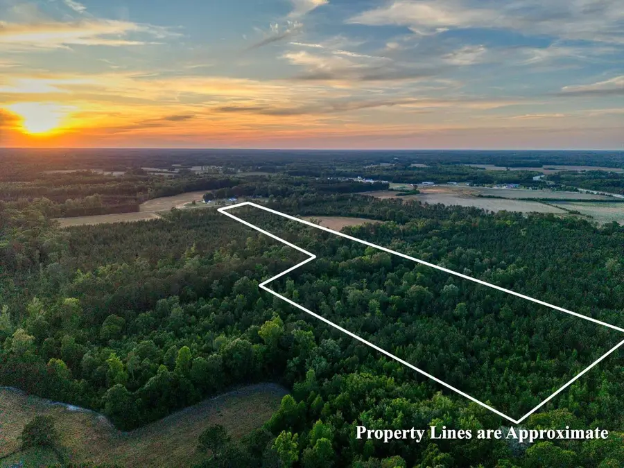 240 Guess Rd., Greeleyville, SC 29056 - #3