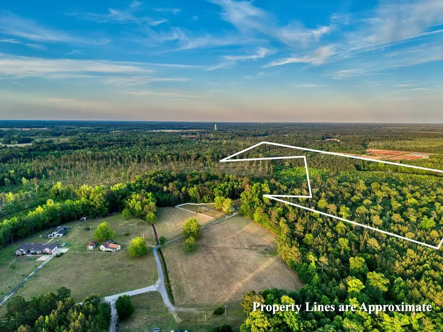 TBD Carroll Rd., Greeleyville, SC 29056 - #2
