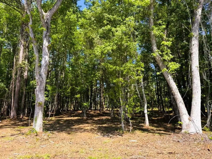 9904 Highway 17 North, McClellanville, SC 29458 - #2