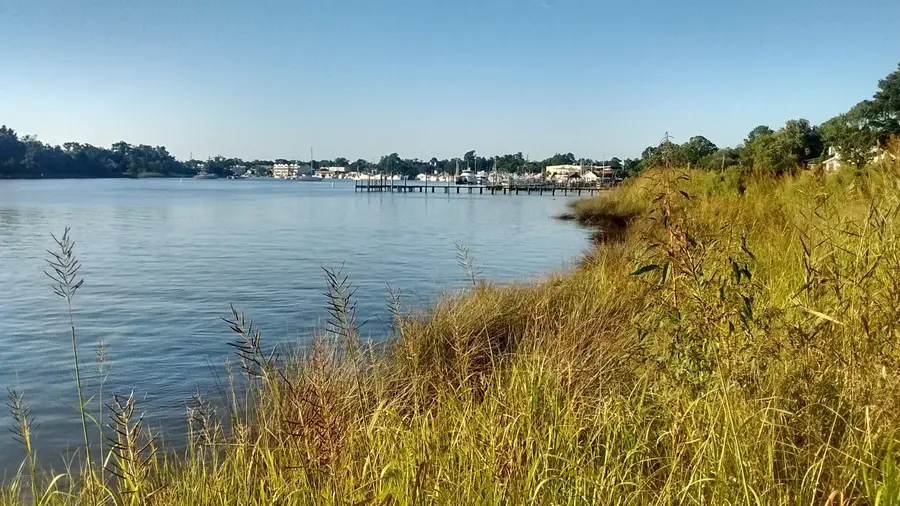 256 Winyah St., Georgetown, SC 29440 - #3