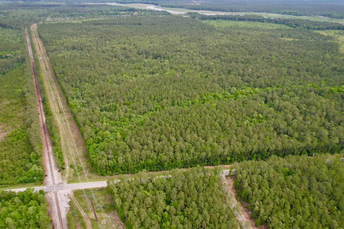 Tract A Pennyroyal Rd., Georgetown, SC 29440 - #1