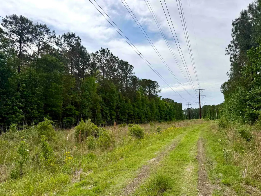 Tract A Pennyroyal Rd., Georgetown, SC 29440 - #2