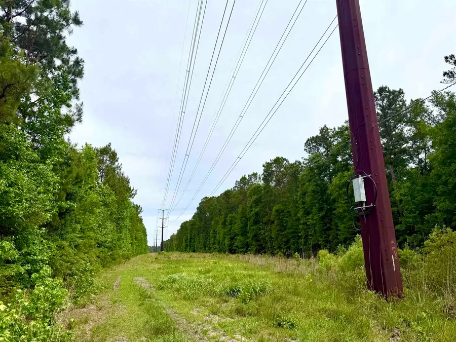 Tract A Pennyroyal Rd., Georgetown, SC 29440 - #3