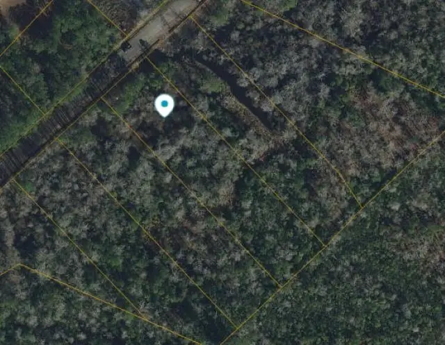 1227 Rainbow Dr., Loris, SC 29569 - #1