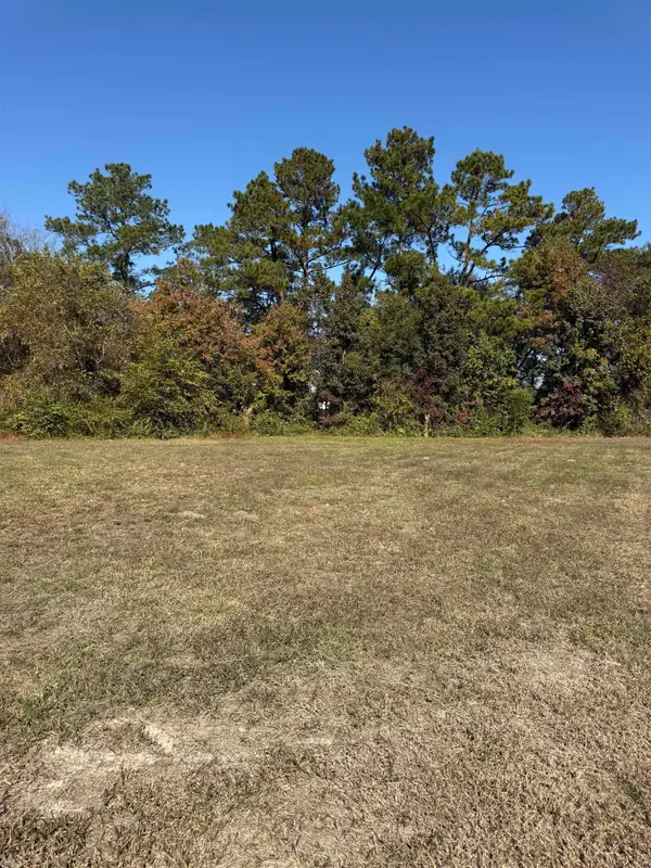 111 Quigley Pl, Aynor, SC 29511