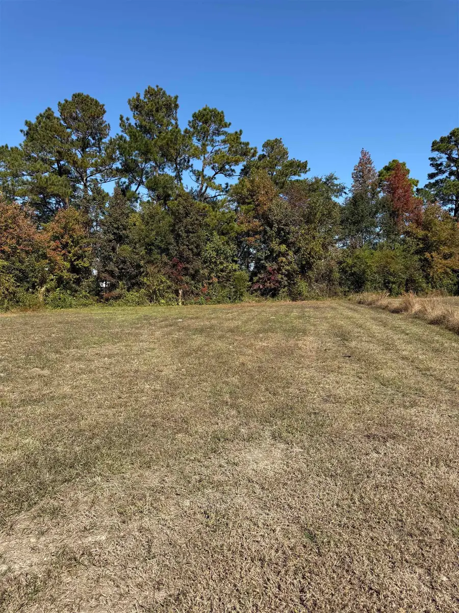 111 Quigley Pl, Aynor, SC 29511 - #3