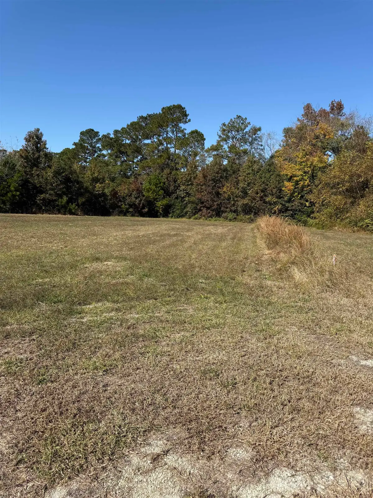 118 Quigley Pl, Aynor, SC 29511 - #1