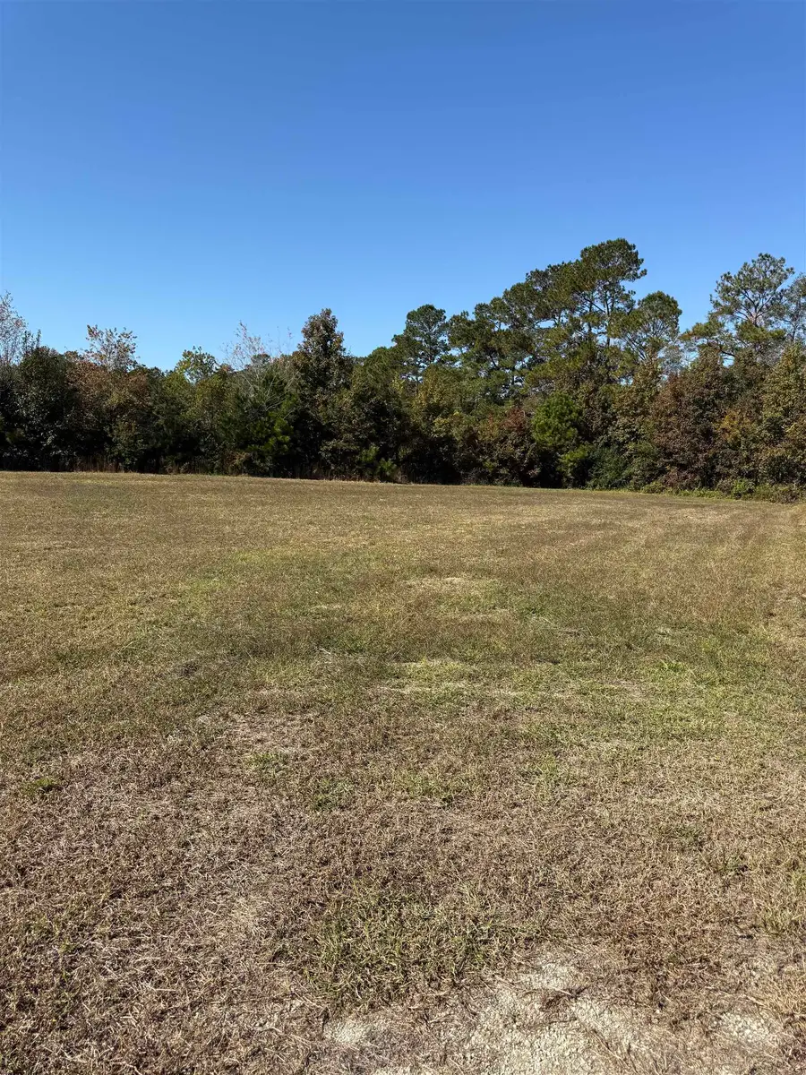 118 Quigley Pl, Aynor, SC 29511 - #3
