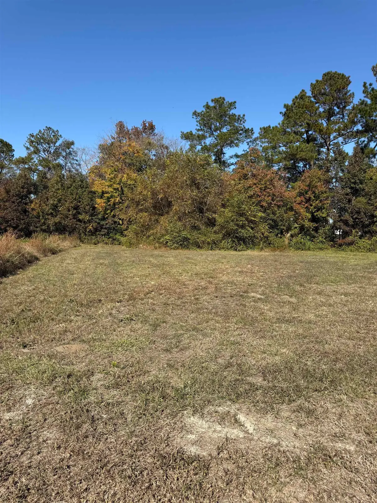 112 Quigley Pl, Aynor, SC 29511 - #1