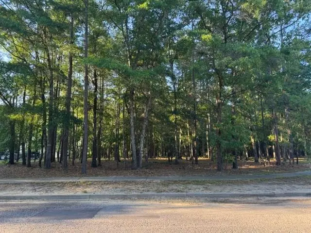 1791 Old Town Ave., Georgetown, SC 29440 - #1