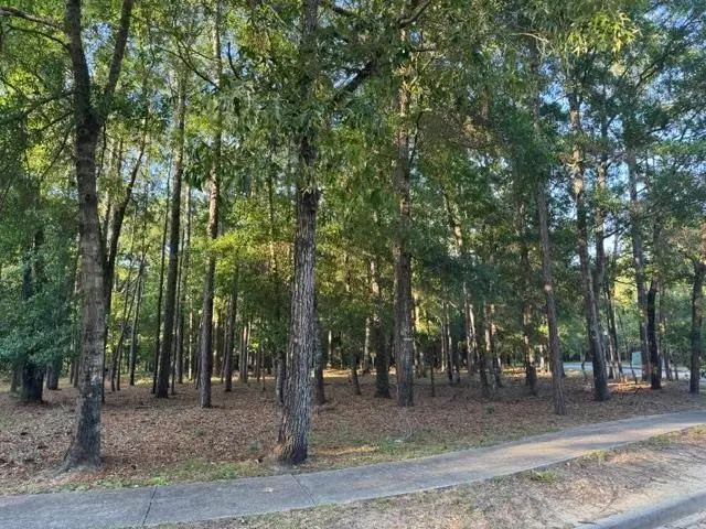 1791 Old Town Ave., Georgetown, SC 29440 - #2