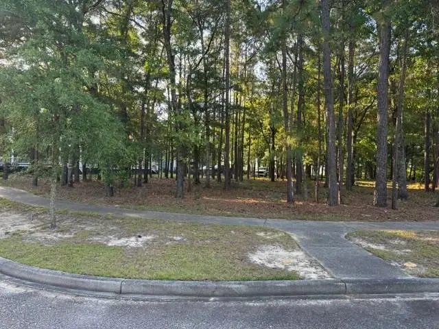 1791 Old Town Ave., Georgetown, SC 29440 - #3