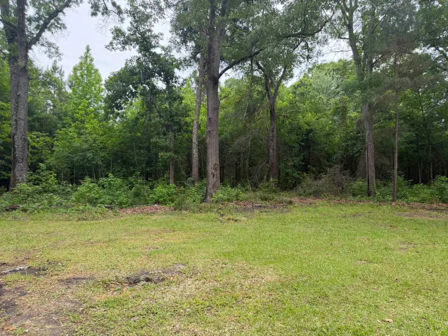 1389 Isabella Rd., Kingstree, SC 29556 - #3