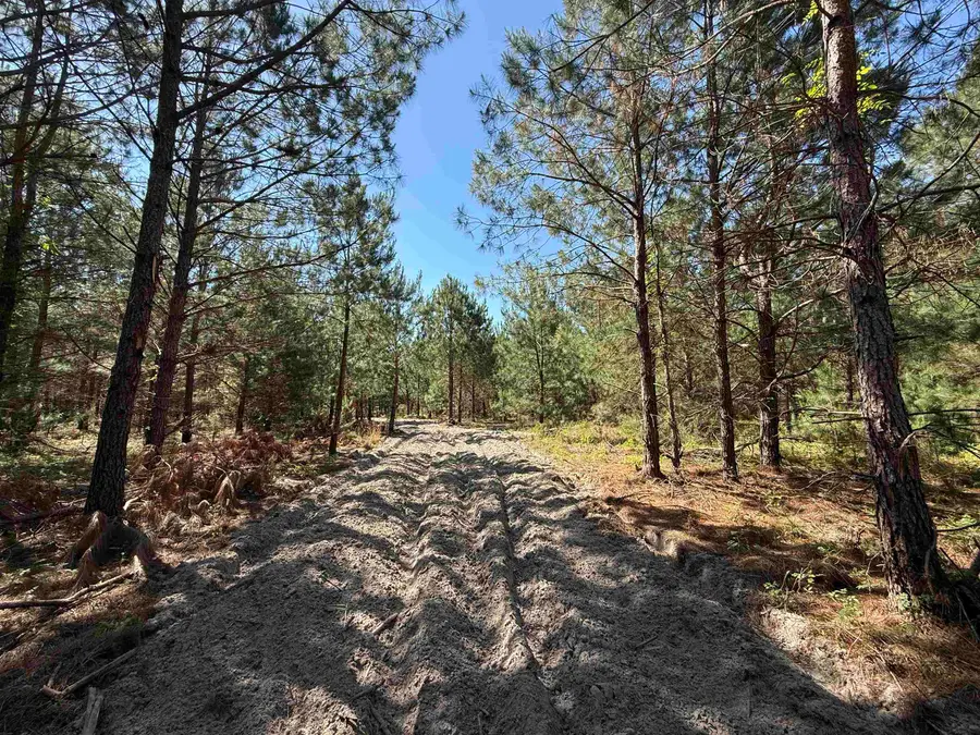 43 Acres - 5432 Juneburn Rd., Manning, SC 29102 - #3