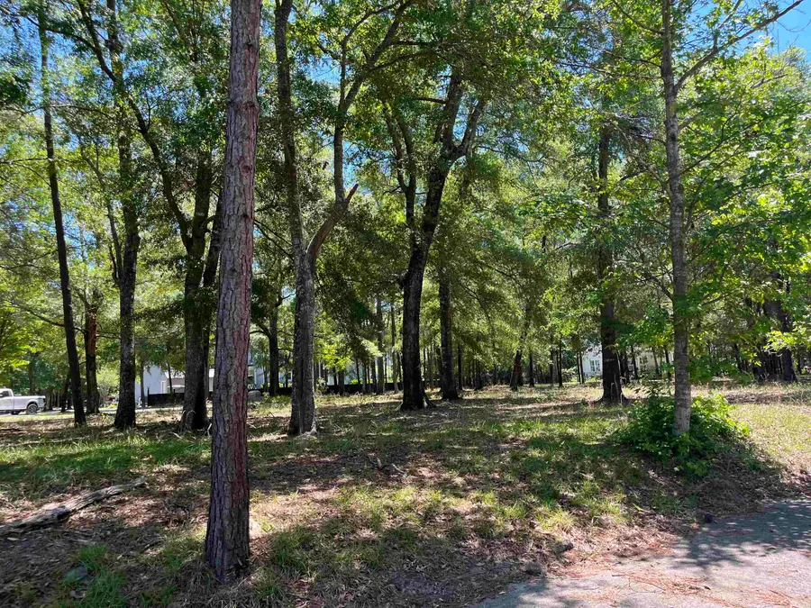 32 Crescent Dr., Georgetown, SC 29440 - #2