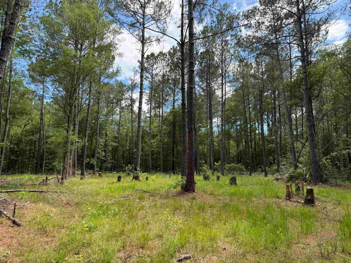 17.8 Acres-5871 Pennyroyal Rd., Georgetown, SC 29440 - #1