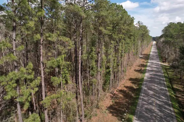 Tract B - TBD Pennyroyal Rd., Georgetown, SC 29440