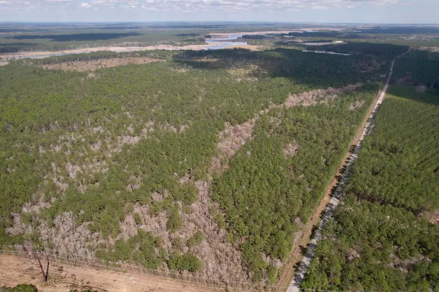 Tract B - TBD Pennyroyal Rd., Georgetown, SC 29440 - #2