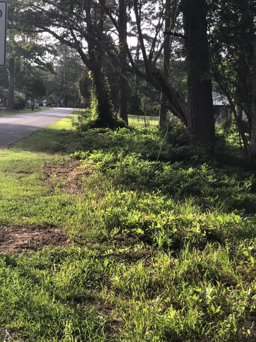 TBD Horseshoe Circle, Conway, SC 29527 - #2