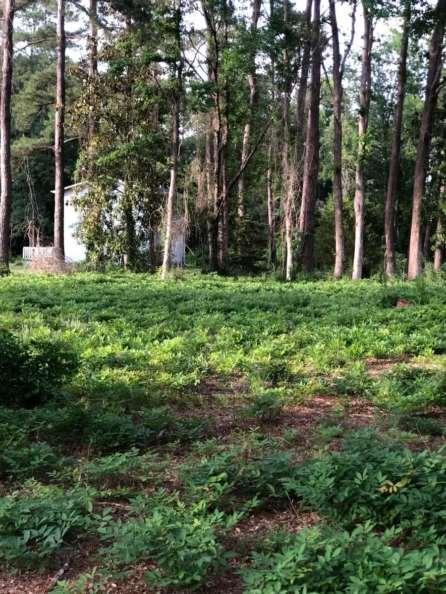 TBD Horseshoe Circle, Conway, SC 29527 - #3