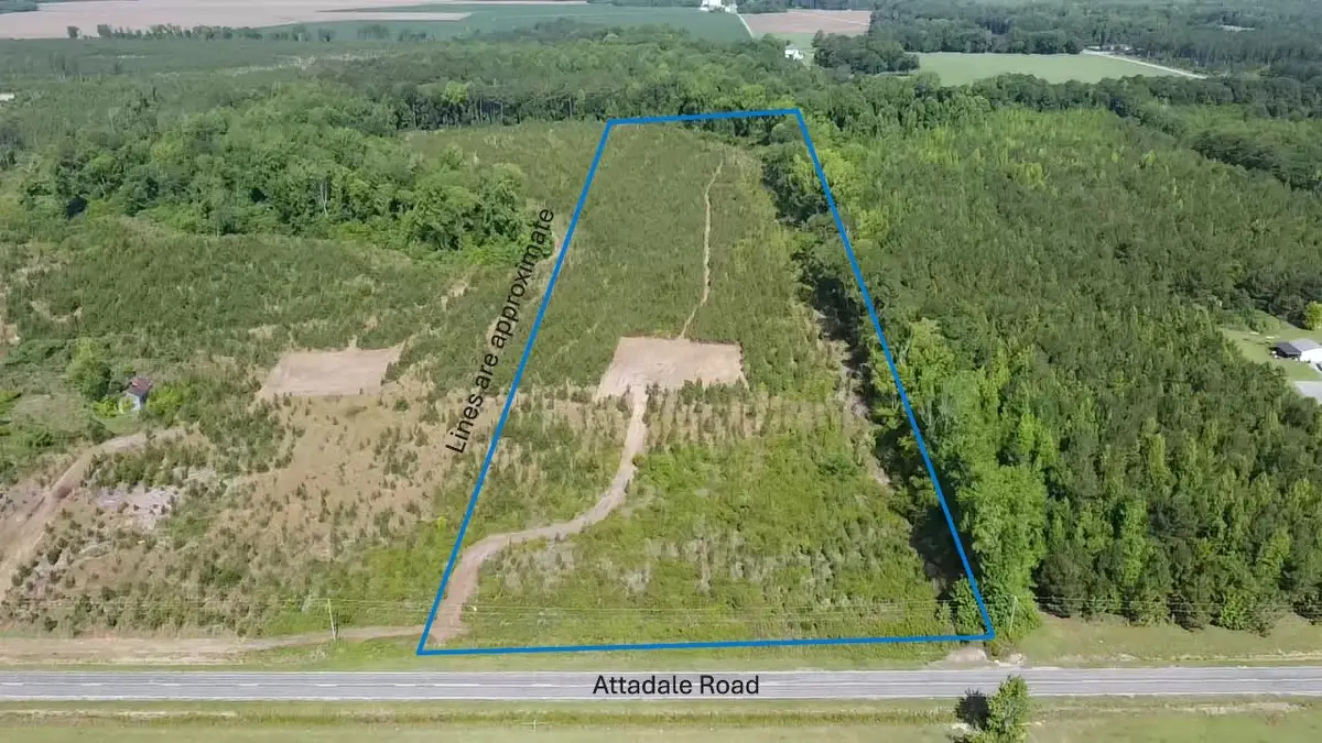Lot 4 Attadale Rd, Blenheim, SC 29516 - #1