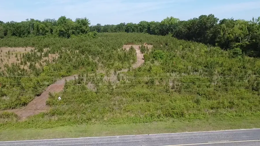 Lot 4 Attadale Rd, Blenheim, SC 29516 - #2