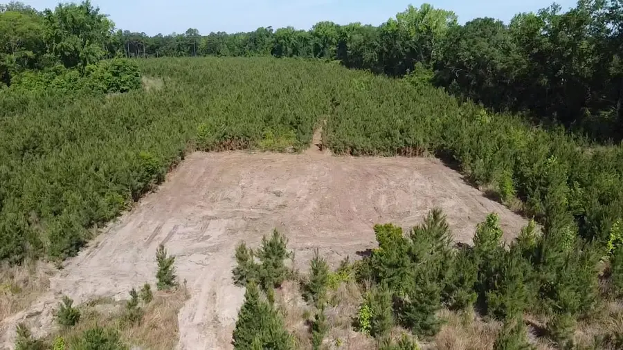 Lot 4 Attadale Rd, Blenheim, SC 29516 - #3
