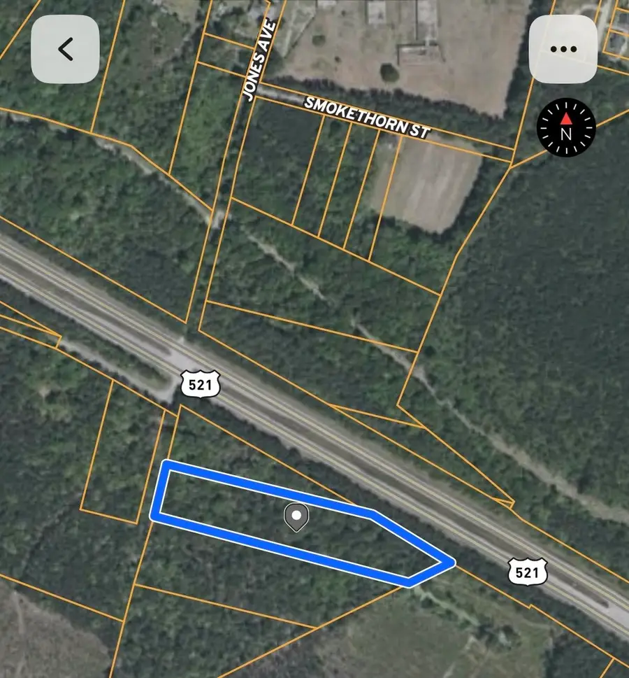 TBD Highway 521, Andrews, SC 29510 - #2