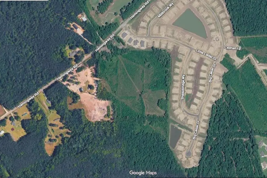 575 Hemingway Rd., Loris, SC 29569 - #3