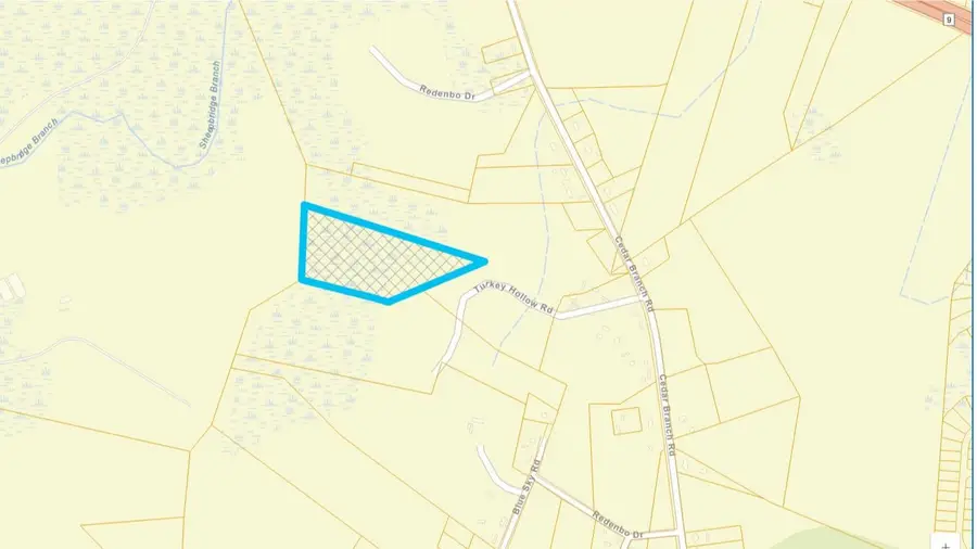 TBD1000 Turkey Hollow Rd, Loris, SC 29569 - #2