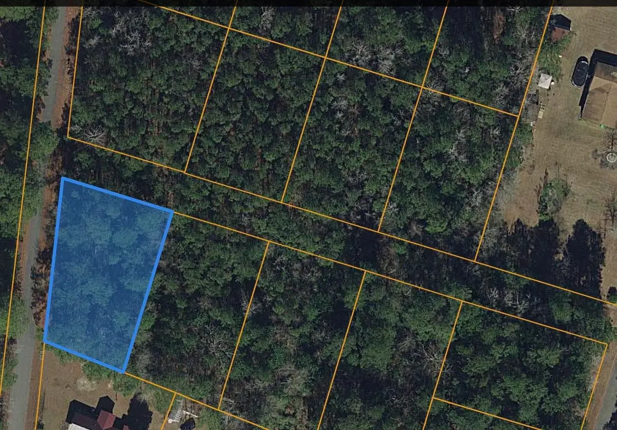 TBD Paul St., Loris, SC 29569 - #1