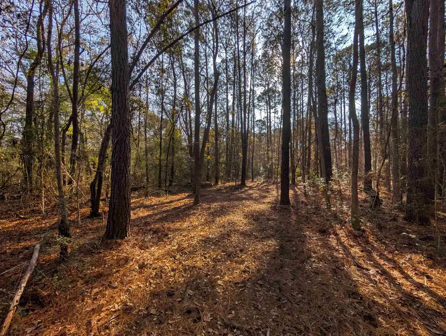 3799 N Highway 17, McClellanville, SC 29458 - #3