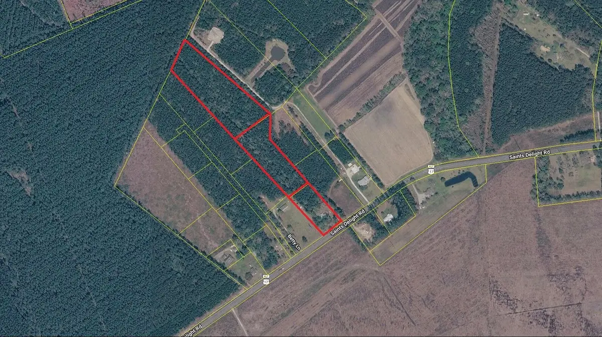 6222 Saints Delight Rd., Georgetown, SC 29440 - #1